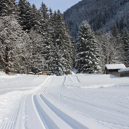 Chalet 9 * Innertkirchen